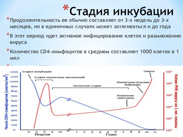 Стадия инкубации Продолжительность ее обычно составляет от 3-х недель до