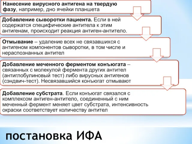 ПринципИФА постановка ИФА