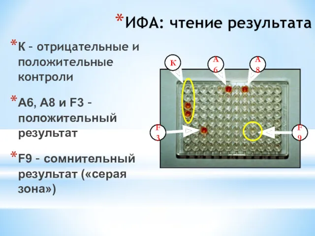 ИФА: чтение результата К – отрицательные и положительные контроли A6,