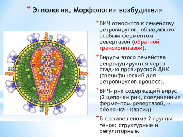 Этиология. Морфология возбудителя ВИЧ относится к семейству ретровирусов, обладающих особым