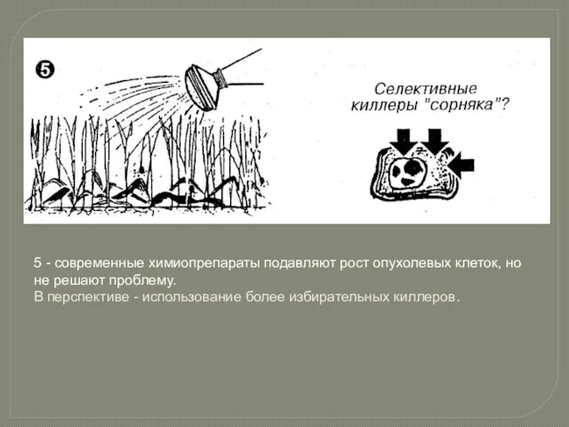 5 - современные химиопрепараты подавляют рост опухолевых клеток, но не