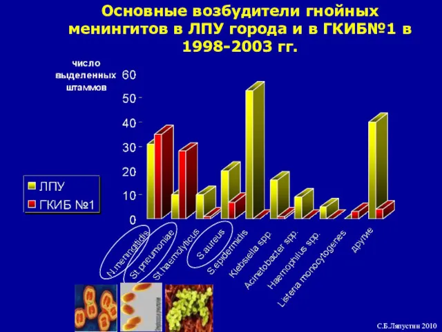 Основные возбудители гнойных менингитов в ЛПУ города и в ГКИБ№1 в 1998-2003 гг. С.Б.Ляпустин 2010