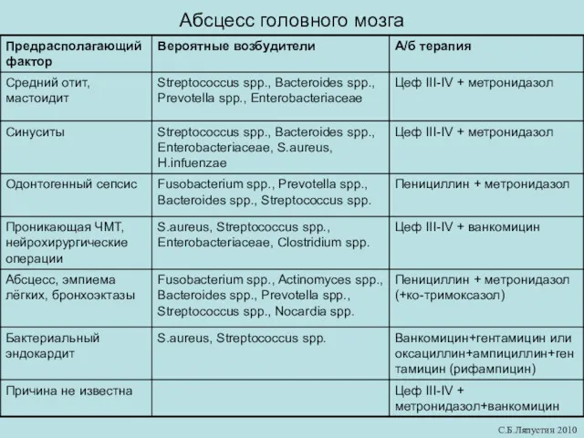 Абсцесс головного мозга С.Б.Ляпустин 2010