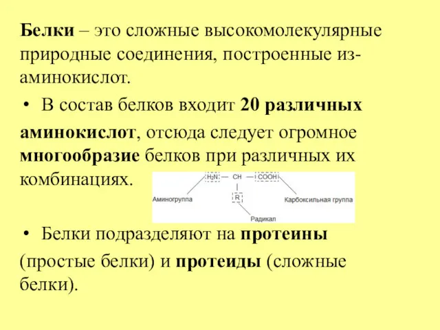 Белки – это сложные высокомолекулярные природные соединения, построенные из-аминокислот. В