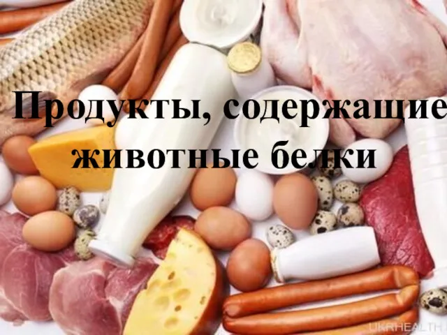 Продукты, содержащие животные белки