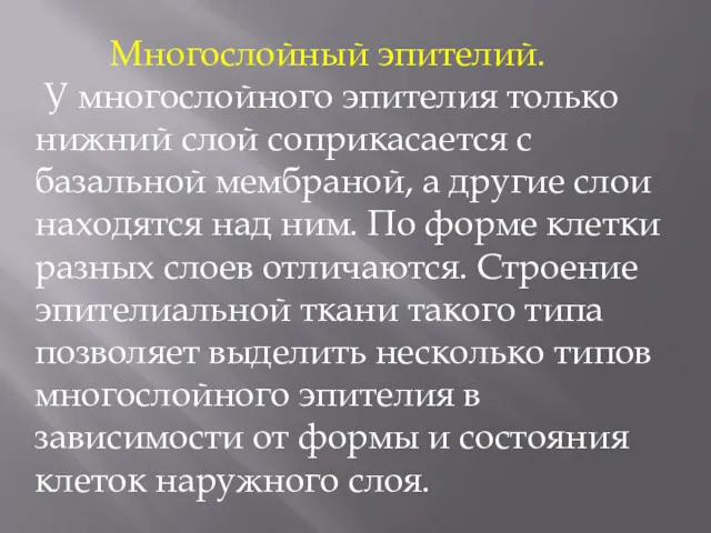 Многослойный эпителий. У многослойного эпителия только нижний слой соприкасается с