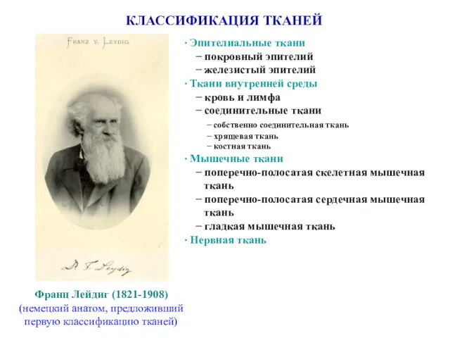 Франц Лейдиг (1821-1908) (немецкий анатом, предложивший первую классификацию тканей) КЛАССИФИКАЦИЯ