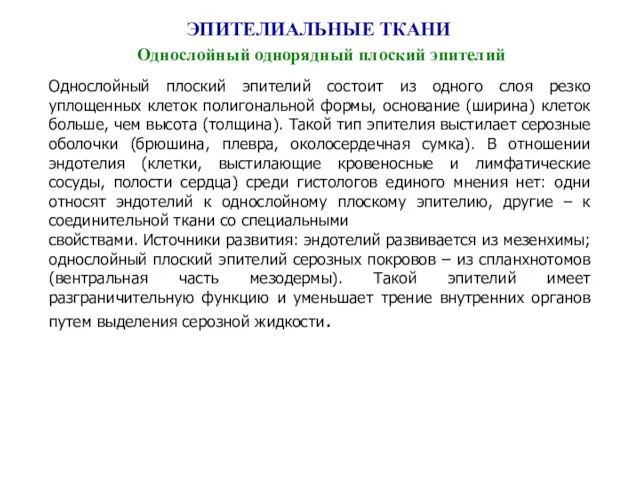 ЭПИТЕЛИАЛЬНЫЕ ТКАНИ Однослойный однорядный плоский эпителий Однослойный плоский эпителий состоит