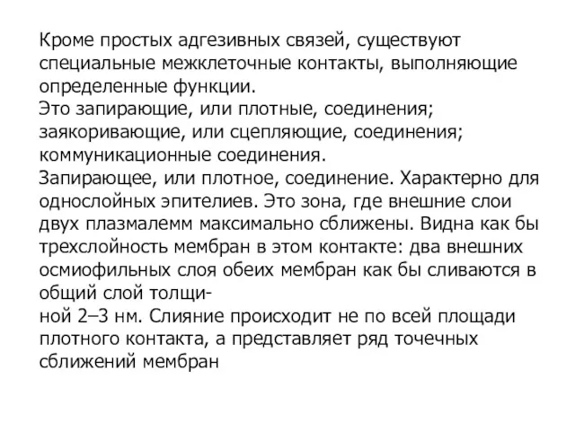 Кроме простых адгезивных связей, существуют специальные межклеточные контакты, выполняющие определенные