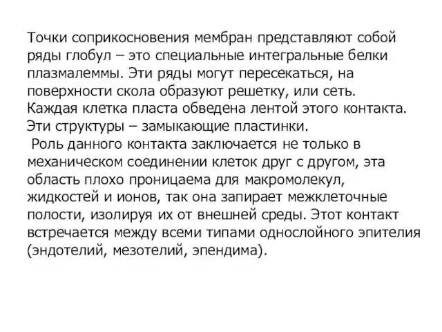 Точки соприкосновения мембран представляют собой ряды глобул – это специальные