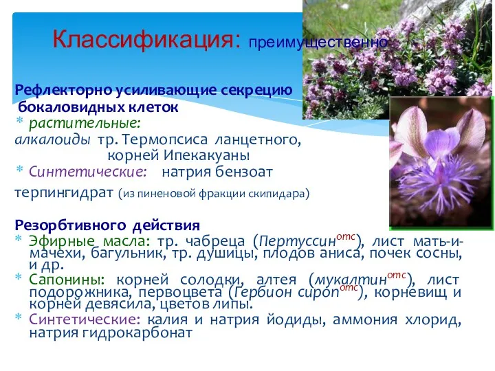 Классификация: преимущественно Рефлекторно усиливающие секрецию бокаловидных клеток растительные: алкалоиды тр. Термопсиса ланцетного, корней