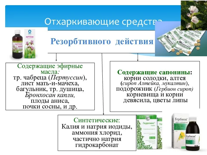 Отхаркивающие средства Резорбтивного действия Содержащие эфирные масла: тр. чабреца (Пертуссин),