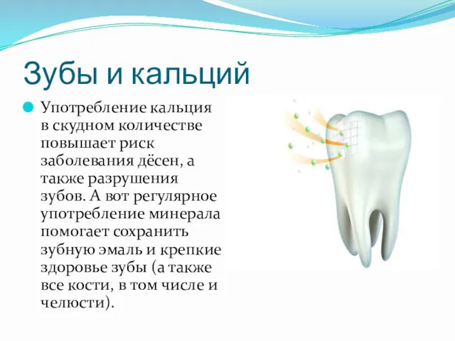 Зубы и кальций Употребление кальция в скудном количестве повышает риск