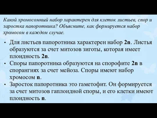 Какой хромосомный набор характерен для клеток листьев, спор и заростка