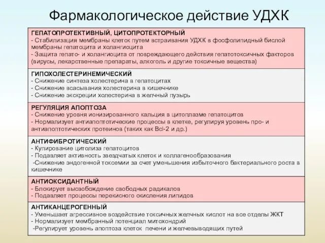 Фармакологическое действие УДХК