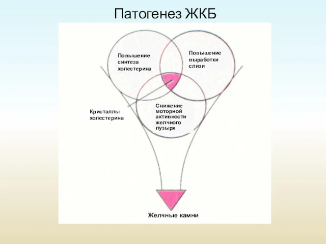 Повышение синтеза холестерина Повышение выработки слизи Снижение моторной активности желчного