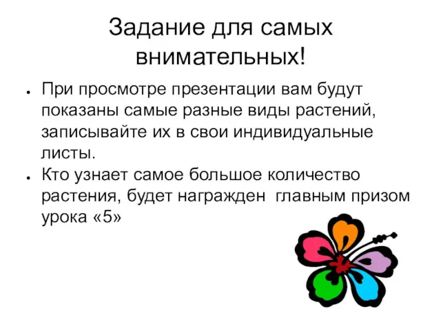 Задание для самых внимательных! При просмотре презентации вам будут показаны