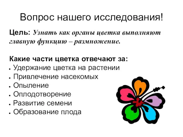 Вопрос нашего исследования! Цель: Узнать как органы цветка выполняют главную