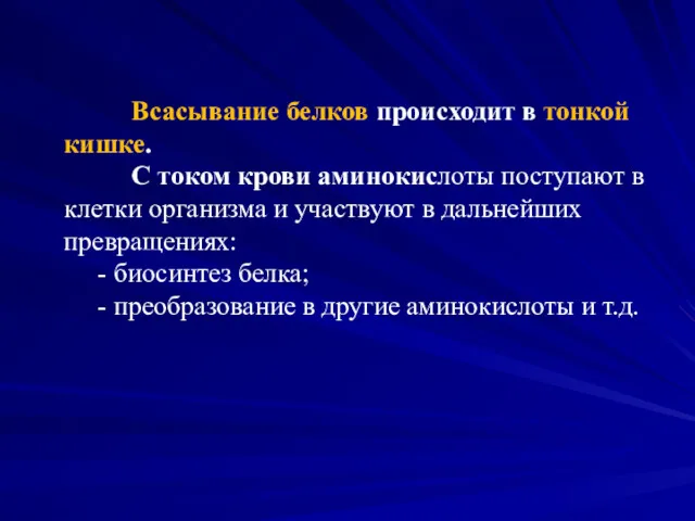 Всасывание белков происходит в тонкой кишке. С током крови аминокислоты