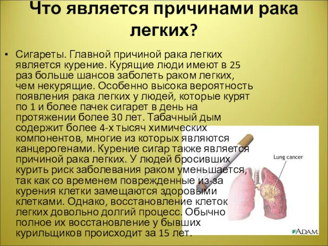 Что является причинами рака легких? Сигареты. Главной причиной рака легких