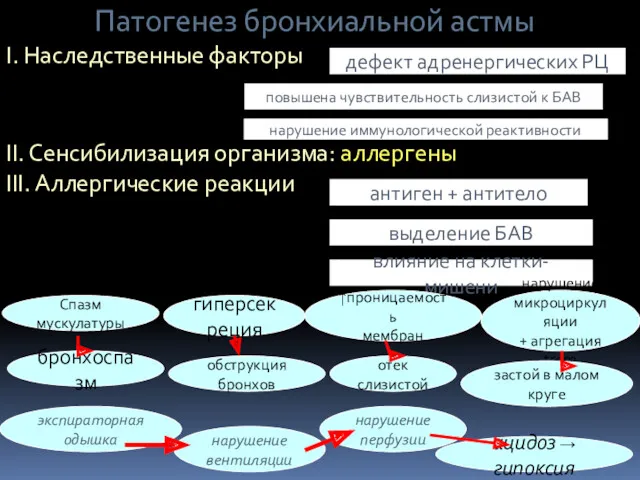 Патогенез бронхиальной астмы І. Наследственные факторы ІІ. Сенсибилизация организма: аллергены