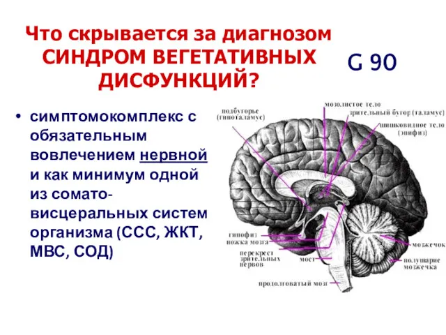 Что скрывается за диагнозом СИНДРОМ ВЕГЕТАТИВНЫХ ДИСФУНКЦИЙ? симптомокомплекс с обязательным