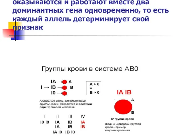 Кодоминирование — это такое взаимодействие аллельных генов, при котором в