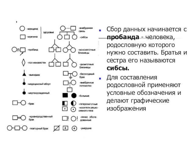 Сбор данных начинается с пробанда - человека, родословную которого нужно