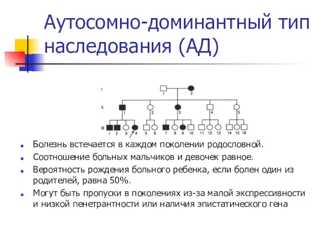 Аутосомно-доминантный тип наследования (АД) Болезнь встечается в каждом поколении родословной.