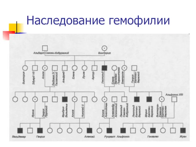 Наследование гемофилии