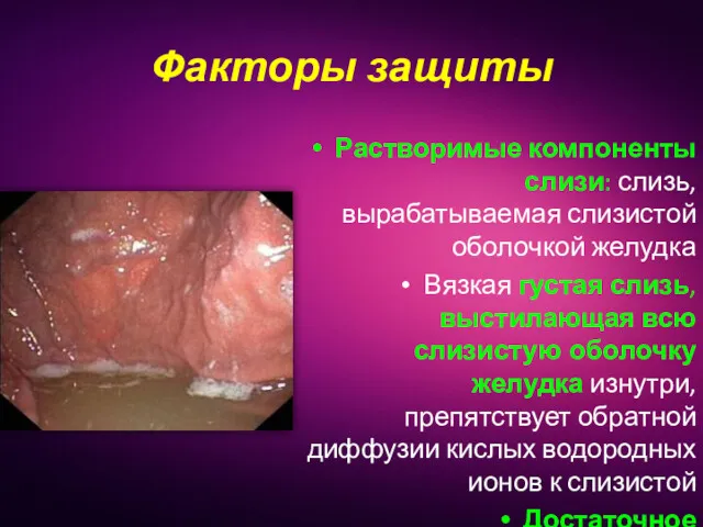 Растворимые компоненты слизи: слизь, вырабатываемая слизистой оболочкой желудка Вязкая густая