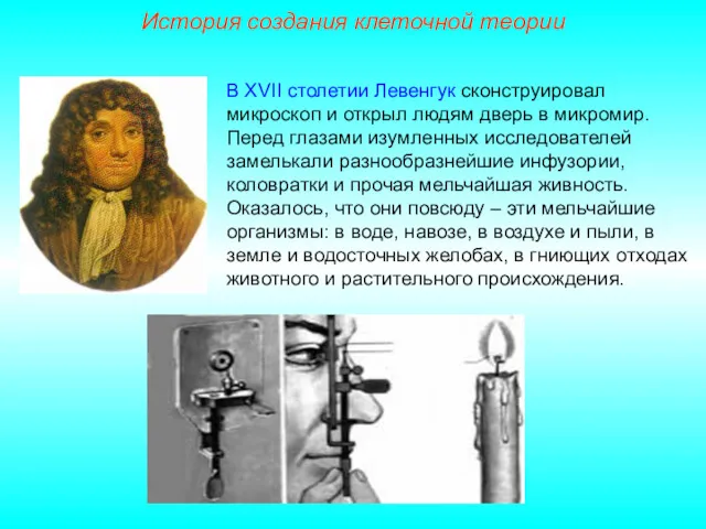 В XVII столетии Левенгук сконструировал микроскоп и открыл людям дверь