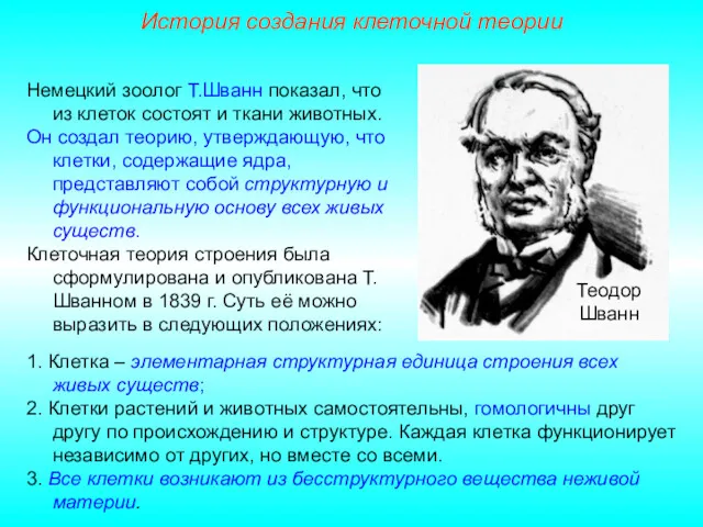 Теодор Шванн Немецкий зоолог Т.Шванн показал, что из клеток состоят