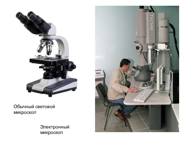 Обычный световой микроскоп Электронный микроскоп