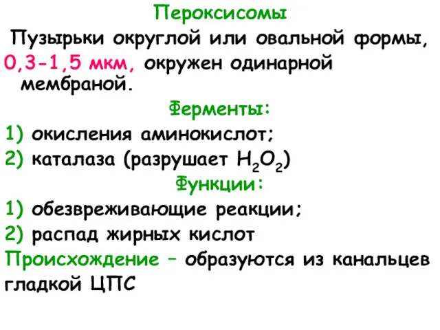 Пероксисомы Пузырьки округлой или овальной формы, 0,3-1,5 мкм, окружен одинарной