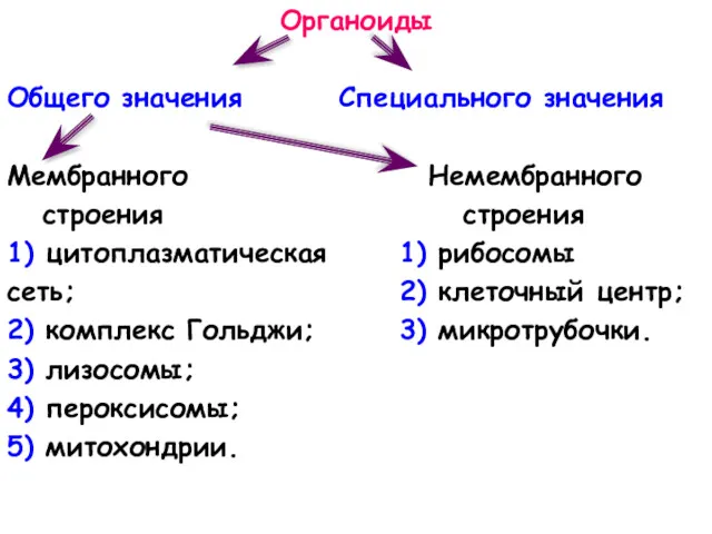 Органоиды Общего значения Специального значения Мембранного Немембранного строения строения 1)