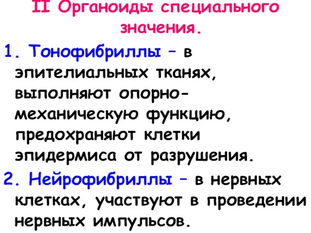 II Органоиды специального значения. 1. Тонофибриллы – в эпителиальных тканях,