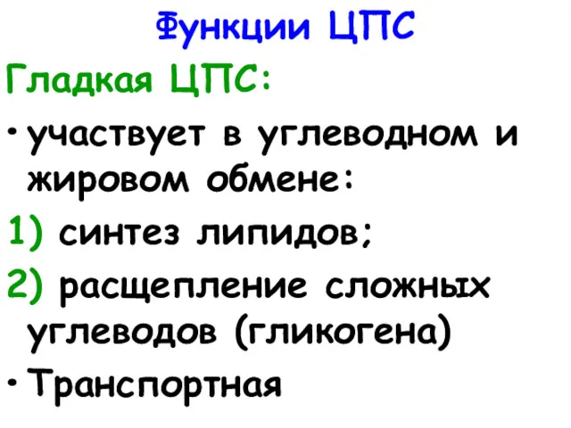 Функции ЦПС Гладкая ЦПС: участвует в углеводном и жировом обмене: