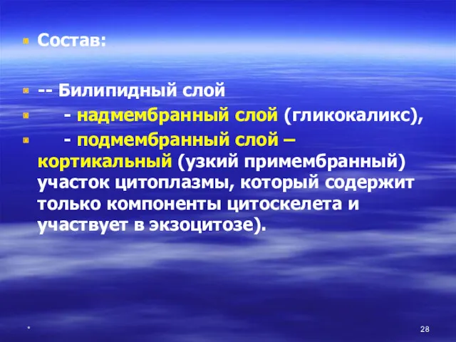 * Состав: -- Билипидный слой - надмембранный слой (гликокаликс), -