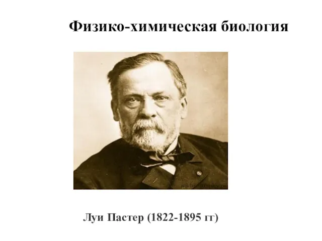 Физико-химическая биология Луи Пастер (1822-1895 гг)