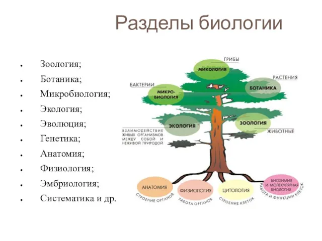 Разделы биологии Зоология; Ботаника; Микробиология; Экология; Эволюция; Генетика; Анатомия; Физиология; Эмбриология; Систематика и др.