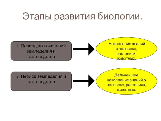 Этапы развития биологии. 1. Период до появления земледелия и скотоводства 2. Период земледелия