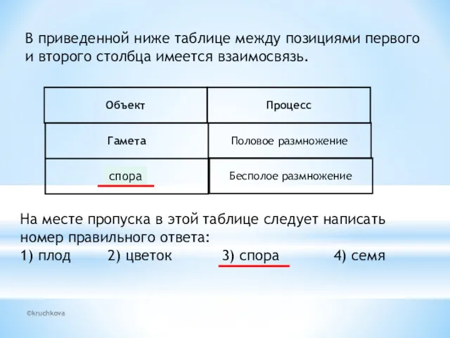 ©kruchkova В приведенной ниже таблице между позициями первого и второго