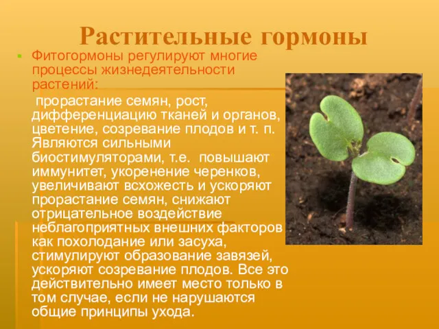 Растительные гормоны Фитогормоны регулируют многие процессы жизнедеятельности растений: прорастание семян, рост, дифференциацию тканей