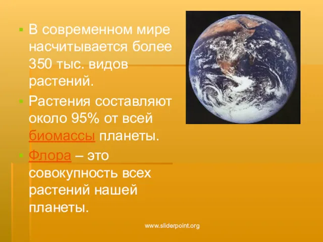 В современном мире насчитывается более 350 тыс. видов растений. Растения