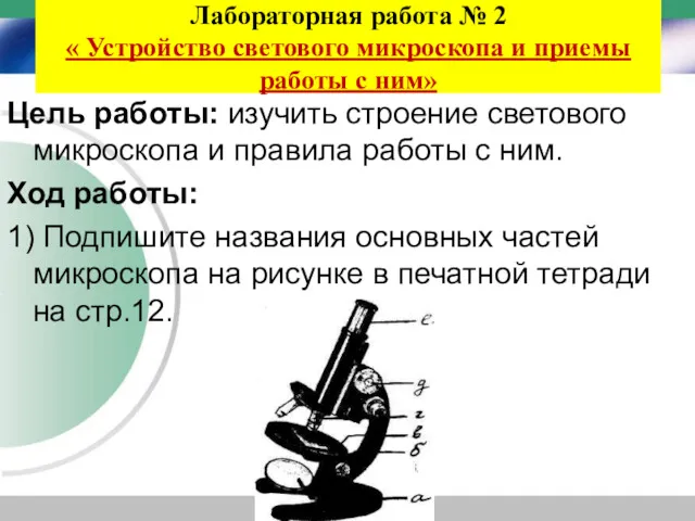 Лабораторная работа № 2 « Устройство светового микроскопа и приемы