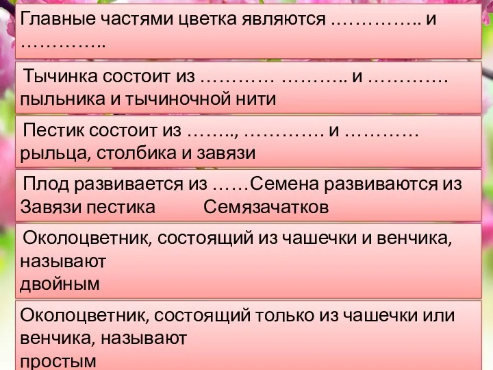 Главные частями цветка являются .………….. и ………….. тычинки и пестики