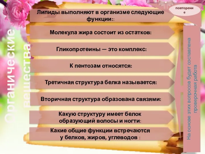 Органические вещества повторение Липиды выполняют в организме следующие функции:: Молекула