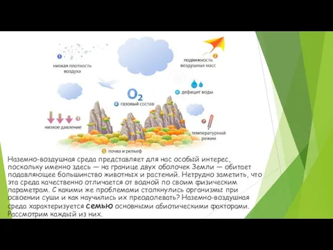 Наземно-воздушная среда представляет для нас особый интерес, поскольку именно здесь