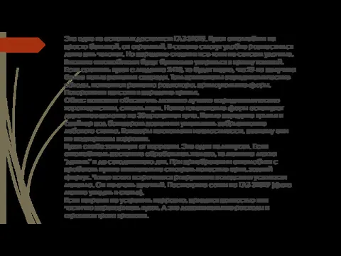 Это одно из основных достоинств ГАЗ 31029. Кузов автомобиля не просто большой, он